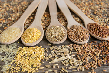 Composition of cereal grains in wooden spoons.