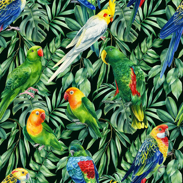 Wild tropical birds parrots and palms. Watercolor illustration, Seamless pattern