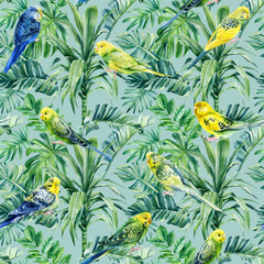 Wellensittich. Tropische Vögel, Papageien und Palmen. Aquarellillustration, nahtloses Muster