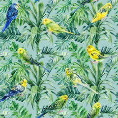 Tuinposter Papegaai Grasparkiet. Tropische vogels papegaaien en palmen. Aquarel illustratie, Naadloos patroon