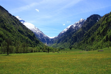 Blick in die Alpen bei Kaprun Richtung Kitzsteinhorn