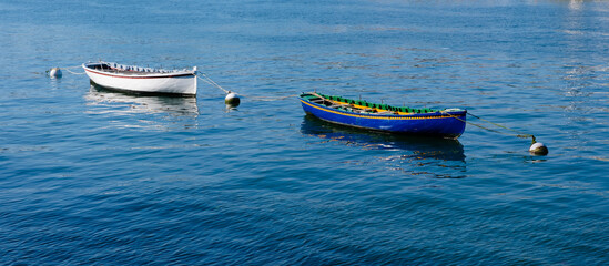 Boats in the bay of Pasaia, Euskadi