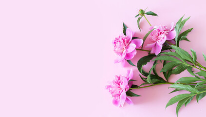 Fototapeta na wymiar Bouquet of beautiful pink peony flowers on light pink table