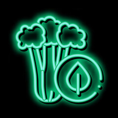 elery Plant neon light sign vector. Glowing bright icon elery Plant sign. transparent symbol illustration