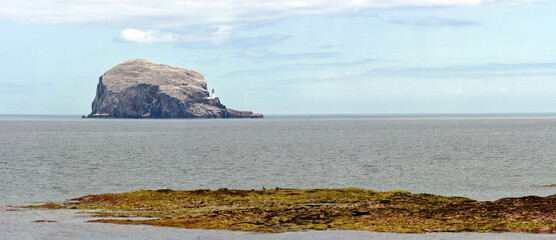Bass Rock Island - Scotland