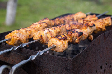 Home made shaslik on open fire. Shish kebabs is frying on the barbecue grill.	