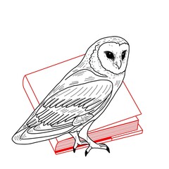 Bird on a branch. Red Book Black Owl Linear. Graphics, line art. Icon, logo.