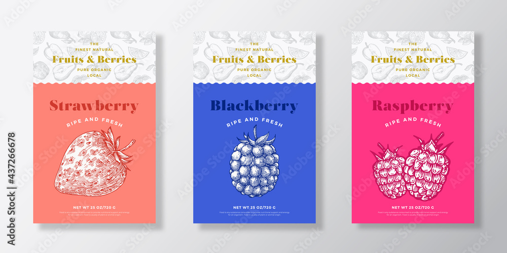 Wall mural fruits and berries pattern label templates set. vector packaging design layout collection. modern ty