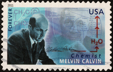 Chemist Melvin Calvin on american postage stamp