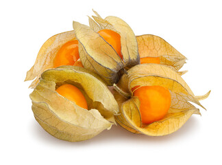 physalis path isolated on white