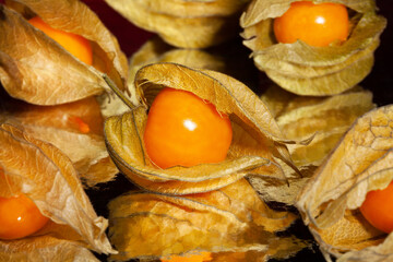 mirrored physalis on black background