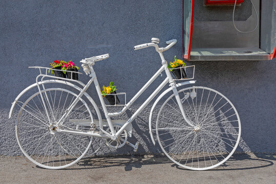 White Bicycle Flowers