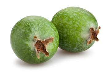 feijoa path isolated on white
