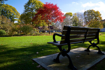 Park bench in a public park in low angle view