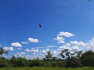 paisaje 