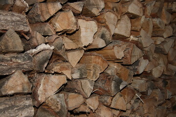 texture of wood