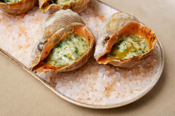 Rapana in shells cooked with ghee. Sea food on a plate.