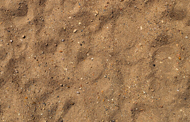 River sand texture with pebbles. Sandy background.