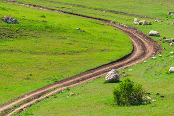 Winding dirt road among green field