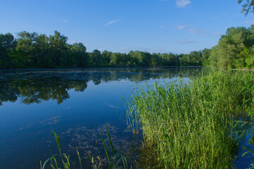Sunset on Žitnom Island - Kubíky Lakes. Slovakia.