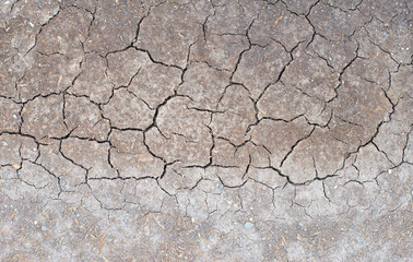 dry and cracked soil surface.