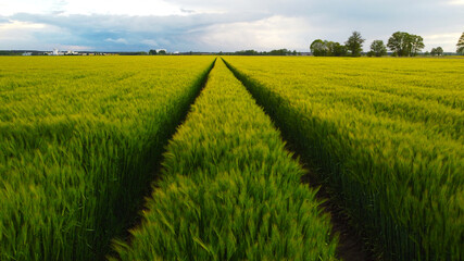 Drohnenaufnahme Feld