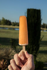 Summer vibes. Closeup view of a male caucasian hand holding an orange flavor popsicle in the garden with a natural environment background.