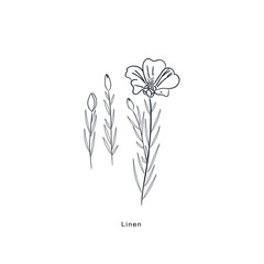 Linen Flower Outline Vector Design Elements 