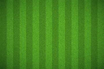 Football field or soccer field background © natrot