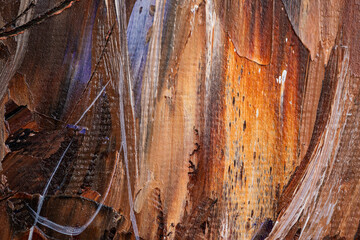 Embossed pasty oil paints and reliefs. Primary colors: orange, brown,yellow.  Abstract art. Mix of...