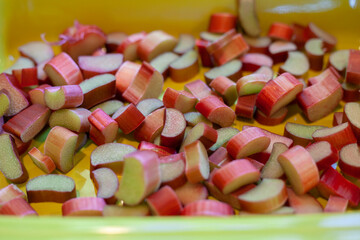 sliced rhubarb chunks in plate
