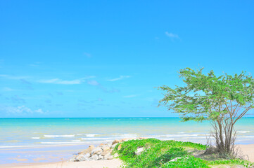 Plakat Seascape with white beach, Landscape summer beach background, with the sunny sky at the sea in Thailand