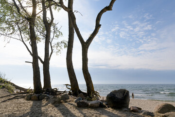  Sandy beaches of the Curonian Spit