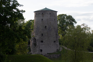 Fototapeta na wymiar Tower at the park 