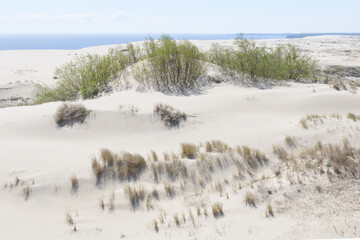  Sandy beaches of the Curonian Spit