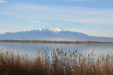 The Canet en Roussillon lagoon, a protected wetland in the south of Perpignan, France
