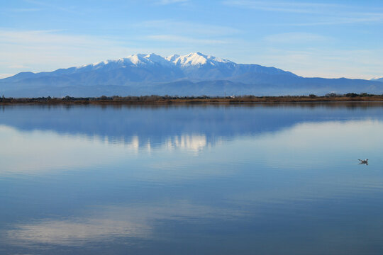 The Canet en Roussillon lagoon, a protected wetland in the south of Perpignan, France
