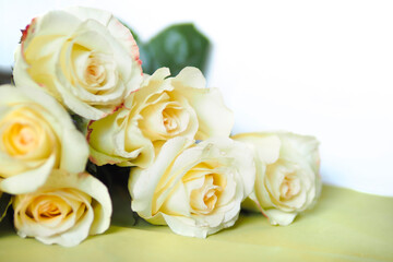 Beautiful bouquet of light yellow roses. copy space.