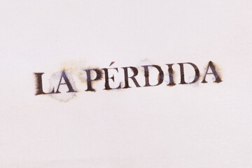 Type of the Spanish word 