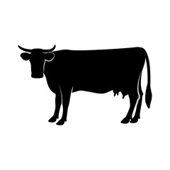 Silhouette of a cow. Vector illustration. White isolated background.