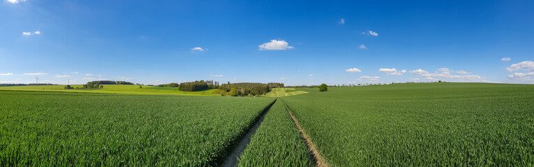 scenic panorama view of natural landscape under a cloudy sky