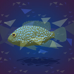 Fish illustration with abstract background