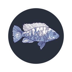Hand drawn fish in grey circle, vector illustration