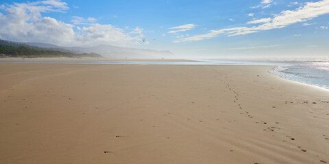 Misty view of the sand beach on the ocean near Newport, Oregon.
