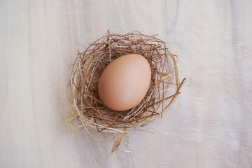 A nest with one egg on wood table background