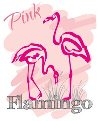 Pink flamingo. Couple exotic birds. Summer postcard in the vector.