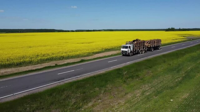 Aerial shot of a timber truck with a trailer fully loaded with trees carries cargo along a scenic road in the countryside. Logging, Deforestation, Woodworking.
