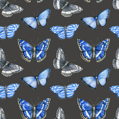 Watercolor seamless pattern with bright blue tropical butterflies on black background.