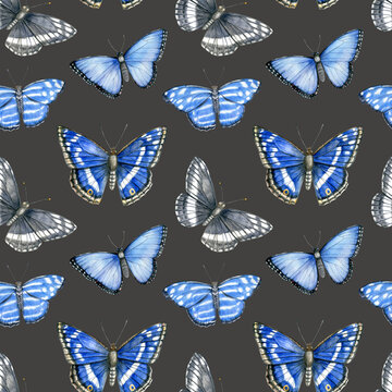 Watercolor seamless pattern with bright blue tropical butterflies on black background.