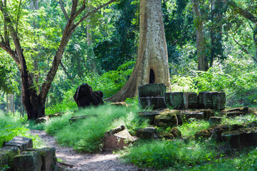 Kambodscha. Teil der Tempelanlage von Angkor Wat.   Detailansicht eines etwas abseits gelegenen...